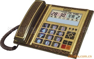 ƤťŶ๦ܻGR-3117