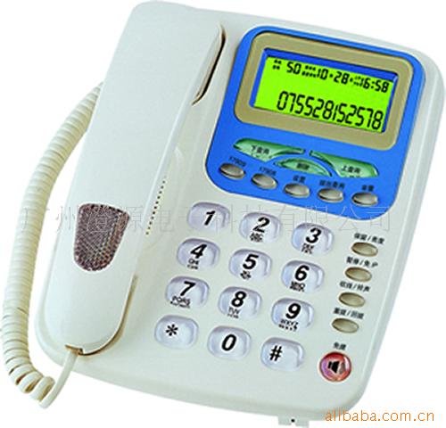 ߿HCD9999(31)