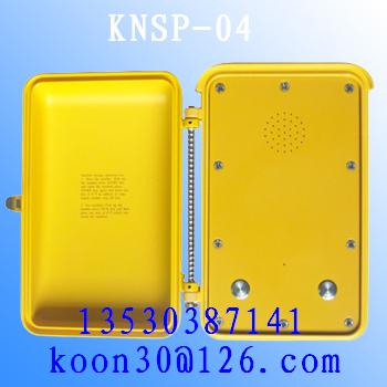 ޻ֱKNSP-04