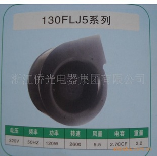 130FLJ2120WĹķ