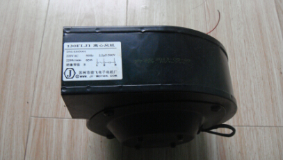 ת130FLJ1ķ