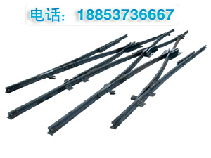 岔芯
