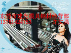 50WS290,50WD300,50WGT530,J23-50Ƭ