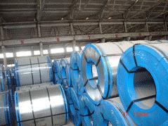 50WW800/50W800/50WW800Ƭ