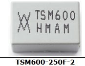 TSM600-250F-2.TYCOԸ˿600V/0.2(250V,3A)