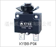 KYB8-P04ر(ͼ)