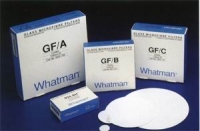 whatmanGF/Cϼ΢άֽ/ֽ/whatmanֽ