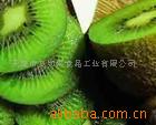 ˾⨺ҷۣڸзζ
