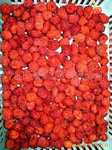 ҰݮWildRaspberry