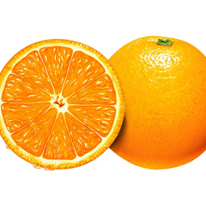̨ڡˮ