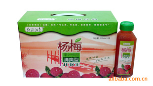 ÷֭300ML*12ζˬ