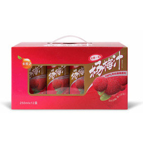 ֮250mлl÷֭װְ250ml*12Ź