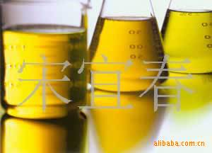 ֱģӭ磡