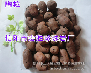 2011꽨汣¸Ƚ