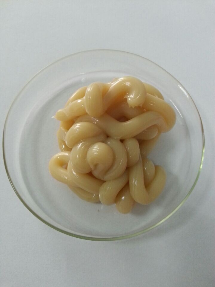 Ƹߵ֬