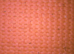 ƹ𽺷͸͸ʴ𽺱֯ƹ