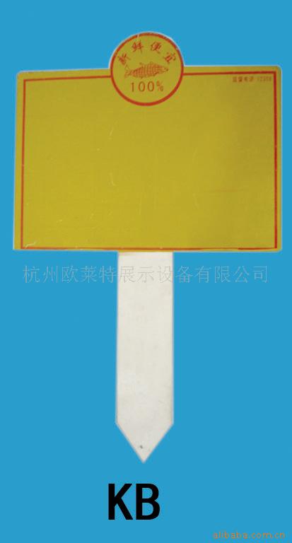 ʲ