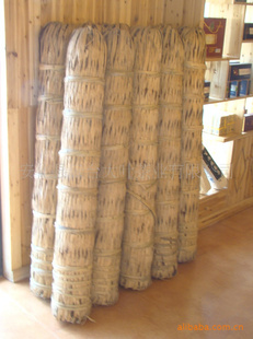 زڲڲڲ2008ѿǧ