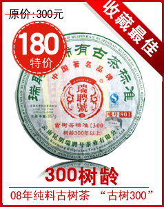 2008նϹ300