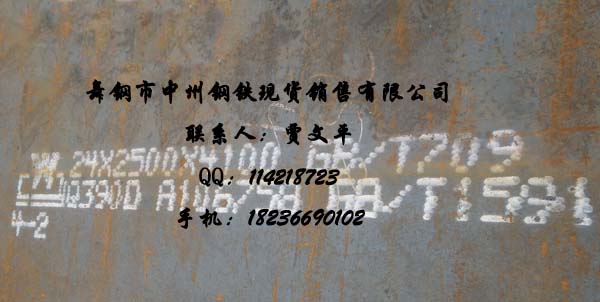 12Cr1MoVϽṹ