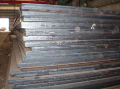 Q420Cǿ塻