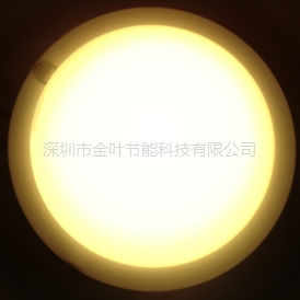 LEDӦ