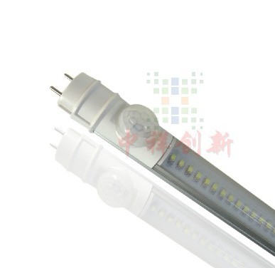 ƼӦLED³