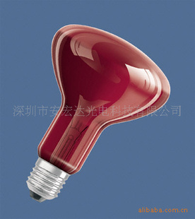 ŷ˾ʺߵƵR95E230V100W