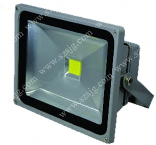 LED׹⸨50Wذ׹⸨100׳Զ׹