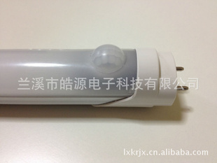 ձLEDӦչƹT8ƹLEDܵƹ0.610W/8W