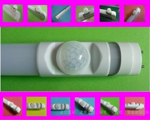 159G²ƷT5һ廯ӦչƵͼ۴Ӧƹܺƹ