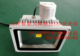 Ӧ׼30W