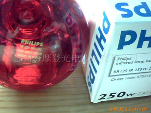 ֺߵ250Wµ250Wȵ
