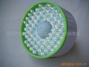 LEDӦ