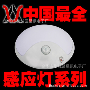 XX-101Ӧ30ֻڹƣ