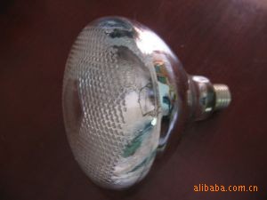 ã۸ţƷ롣PAR38ߵ