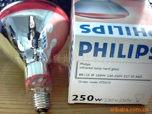 PHILIPS230V250Wߵݵ