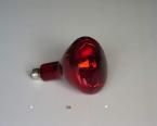 R125150W/250WE27ߵ