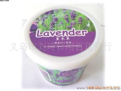 魔蛋,盆景,天使花房,工艺品,易拉罐魔豆,情侣魔豆