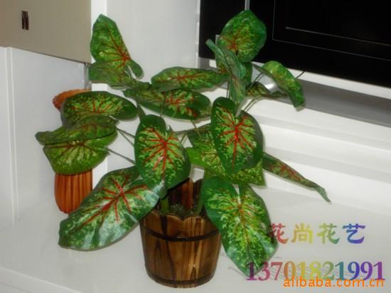 仿真植物仿真盆景仿真花雨叶
