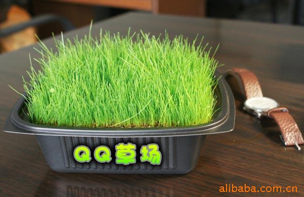DIYݳֲ