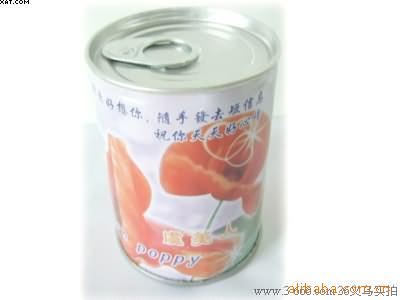 工艺品,园艺DIY,diy园艺