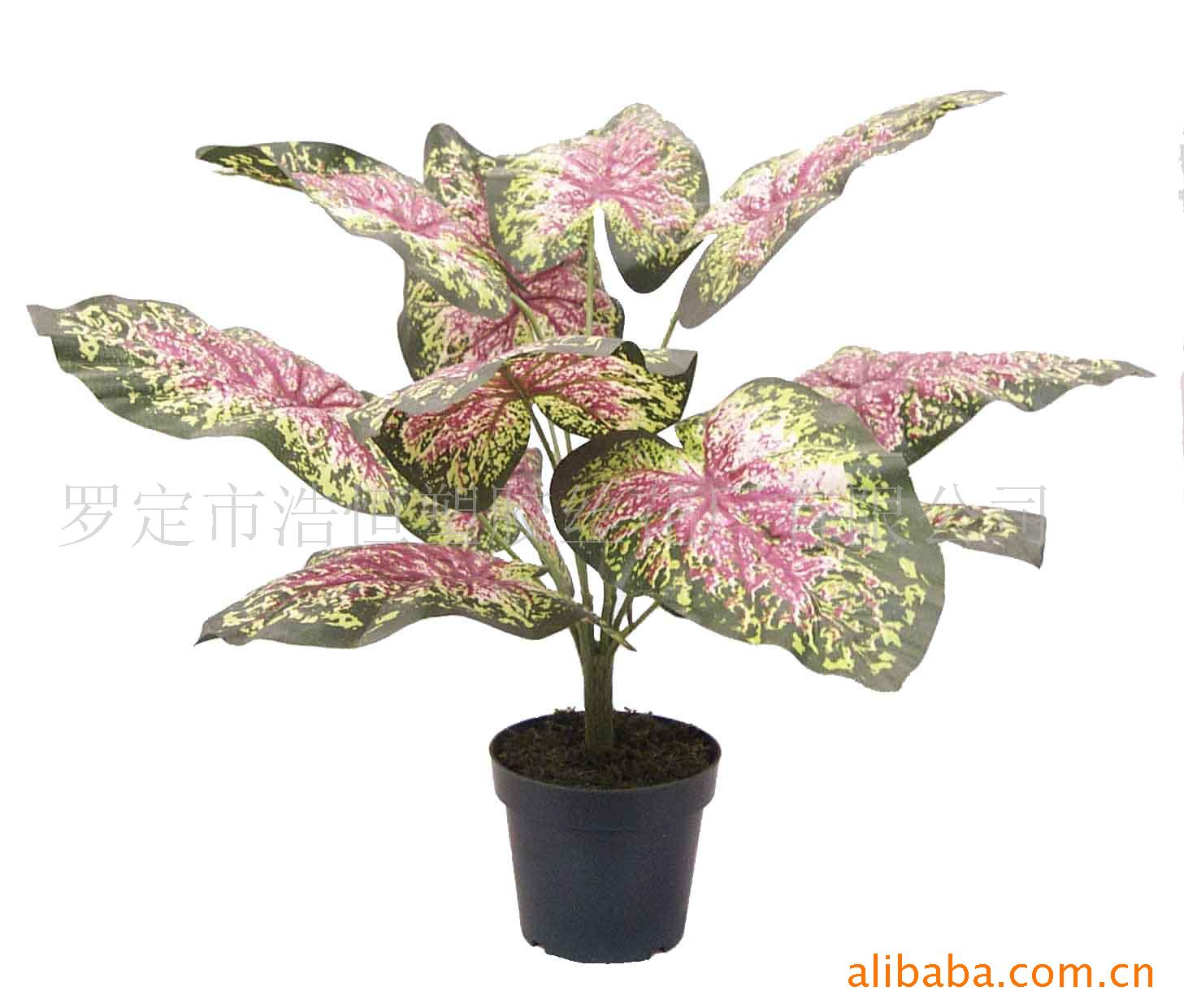 仿真红芋叶盆栽,仿真植物