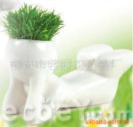 DIYֲС˲(ͼ)