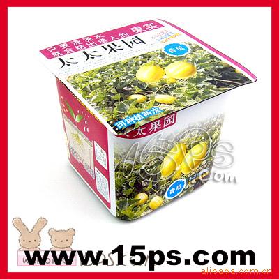 易拉罐魔豆,情侣魔豆,魔蛋,盆景,天使花房,K2