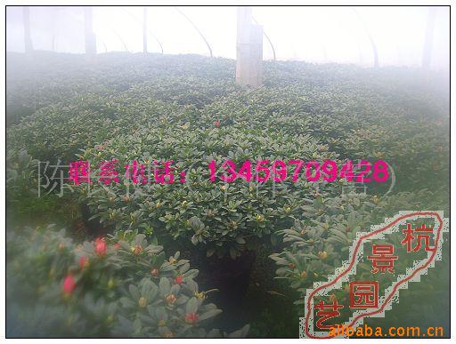 90ֶž黨ž黨