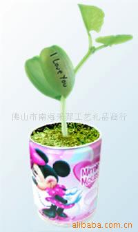 易拉罐花卉-爱情魔豆