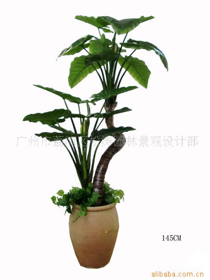 辰(ͼ)