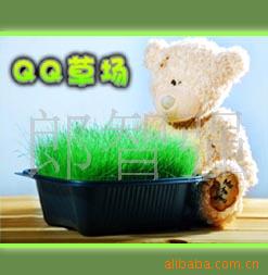 QQݳ“Ѳƺؼң”辰