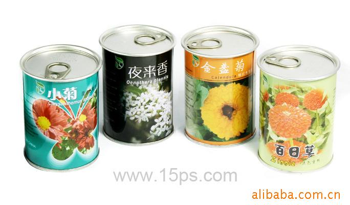 罐花卉,玫瑰花,鲜花,玫瑰,盆景,十二生肖,EA